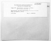 Image Associated With the Occurence